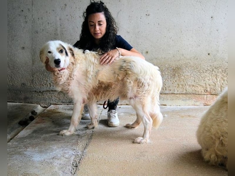 Bailoch - Zeig mir doch bitte...