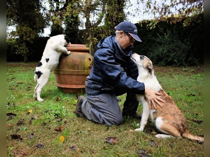 Milde - Ein Flüstern, das sagt: "Du bist sicher."