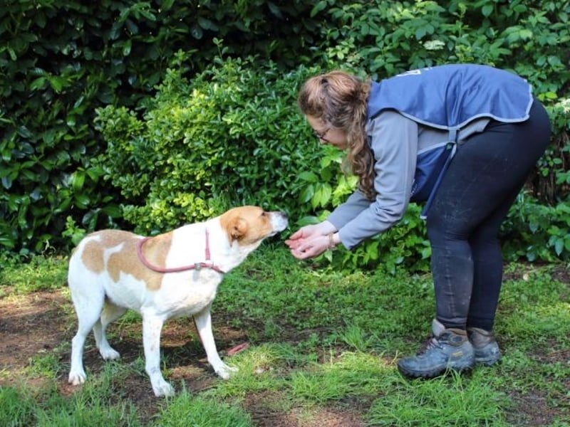 Zela - Z wie Zuckersüß und Zauberhaft