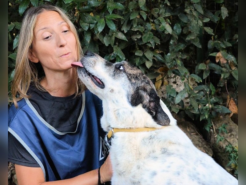 Lisanne - manchmal muss man auf sein Glück warten
