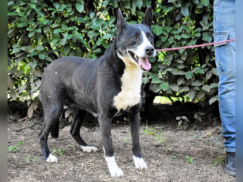 Edelmira - Das Leben in homöopathischen Dosen kennenlernen