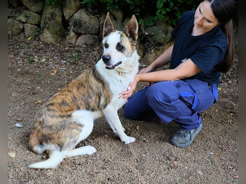 Milde - Ein Flüstern, das sagt: "Du bist sicher."