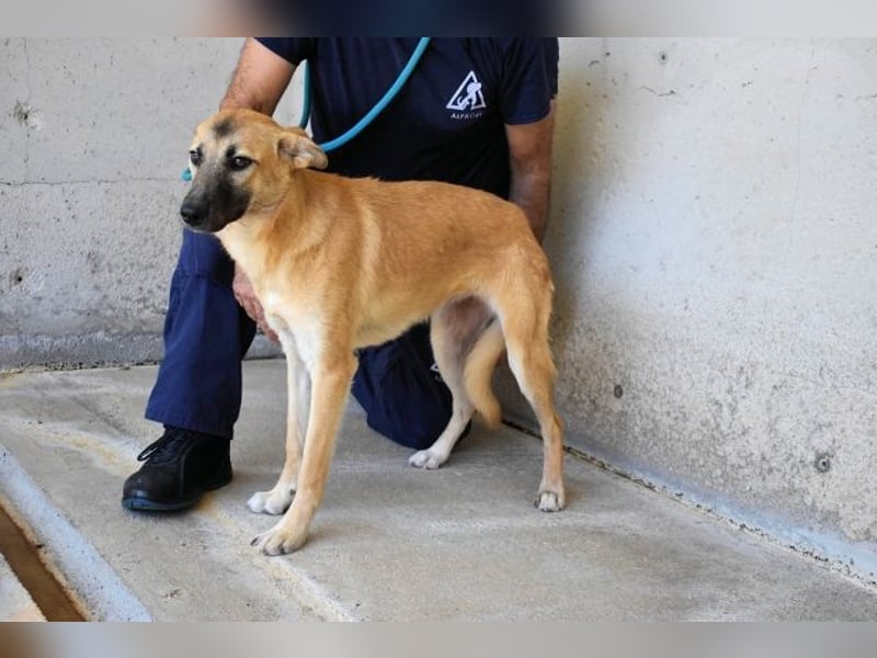 Olympia - "Und wenn sie nicht weg sind....