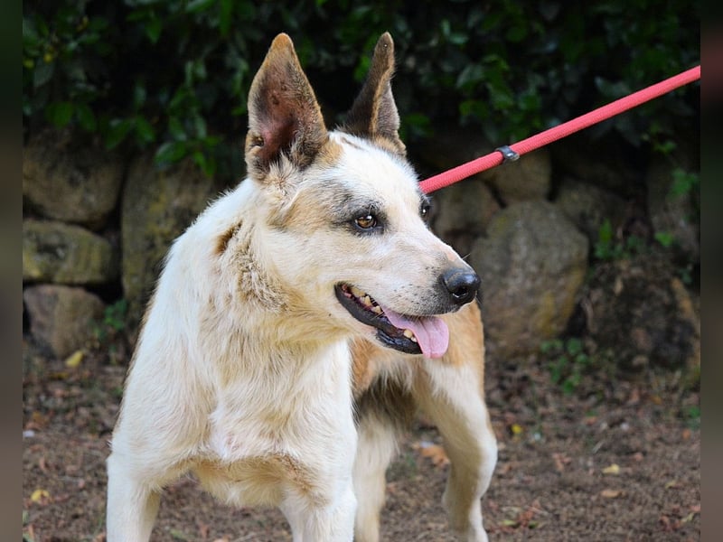 Milde - Ein Flüstern, das sagt: "Du bist sicher."