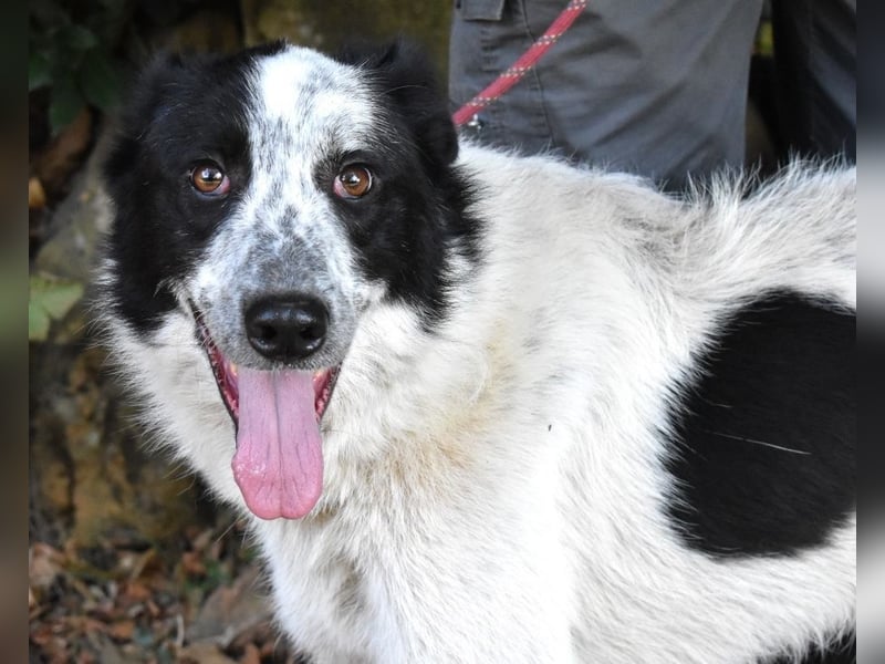 Jasmine - Wer nicht neugierig ist, erfährt nichts!