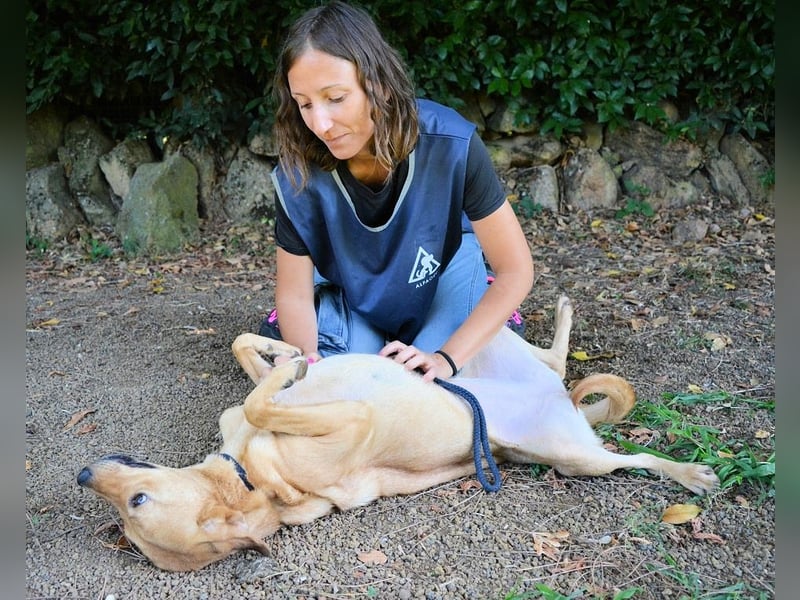 Lilyrose - als kleine Muschel ins Glück!