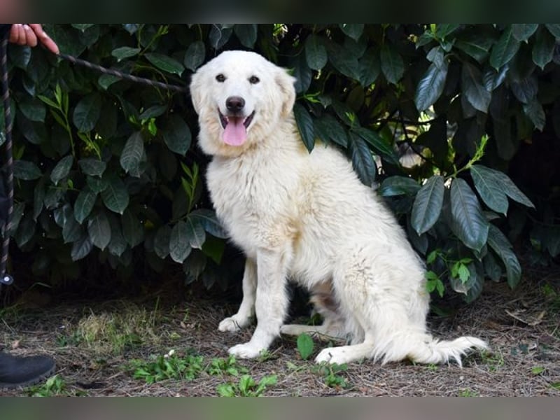 Florenz - bereit für das Abenteuer Leben