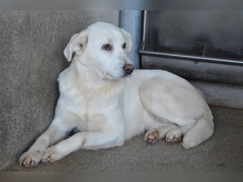 Cyra - Cyra, bald bist auch Du dran!