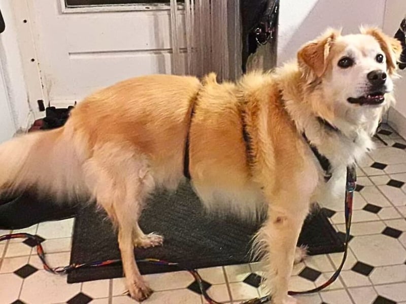 Alemix - Im zweiten Anlauf neuer Altersruhesitz gesucht