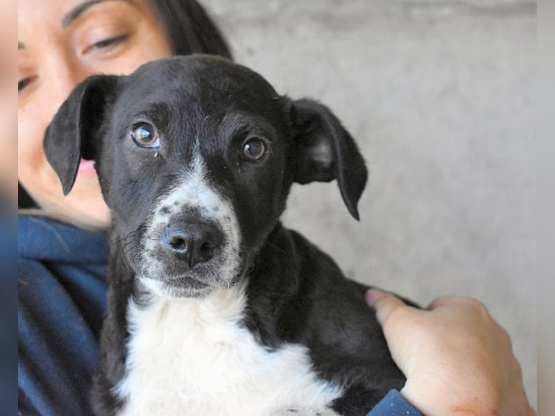 Mavette - Es soll DEIN Leben werden