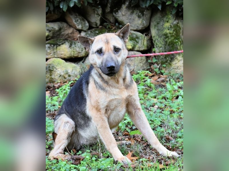 Alvida - warum tun sie das?