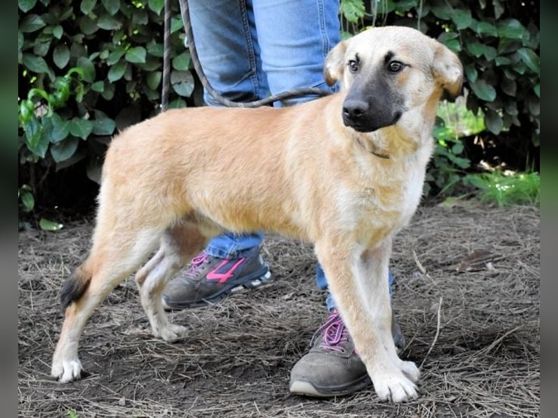 Zeebo - Z wie Zuckersüß und Zauberhaft