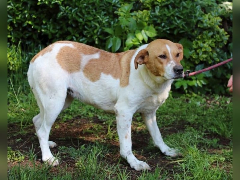 Zela - Z wie Zuckersüß und Zauberhaft