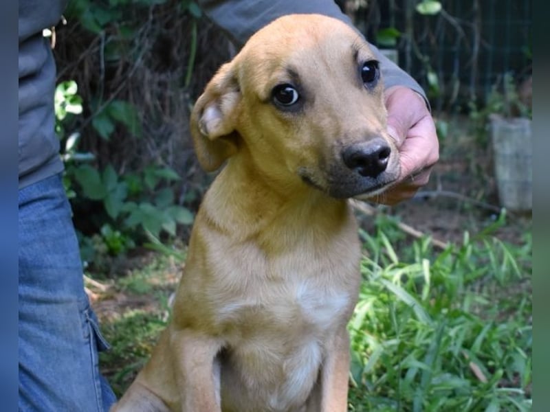 Ulbert - hat alles verloren