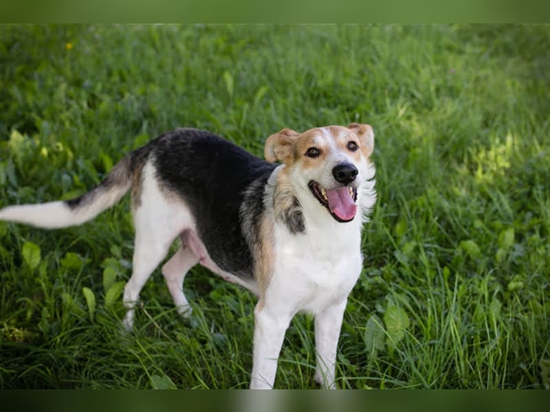 Julie – ein Goldschatz