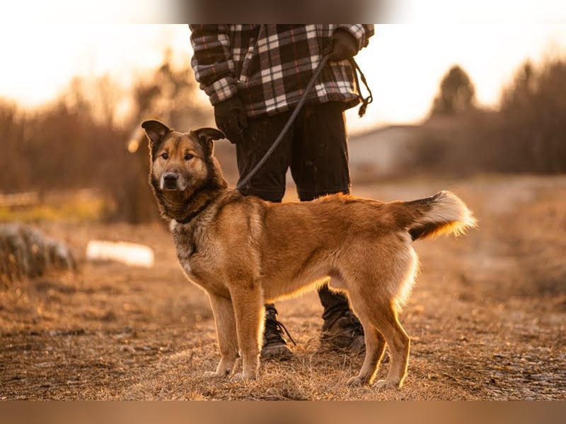 Alex – möchte voll durchstarten