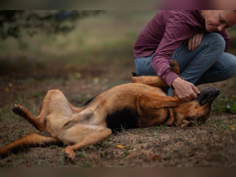 Akascha: Möchte endlich nach Hause!