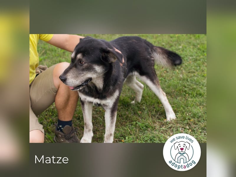 Matze 154018 sucht ein zu Hause