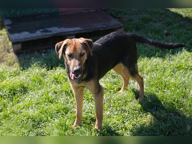 Akascha: Möchte endlich nach Hause!