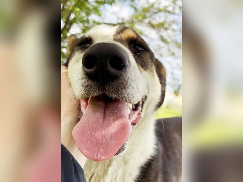 Jim: Sucht ein Abenteuer