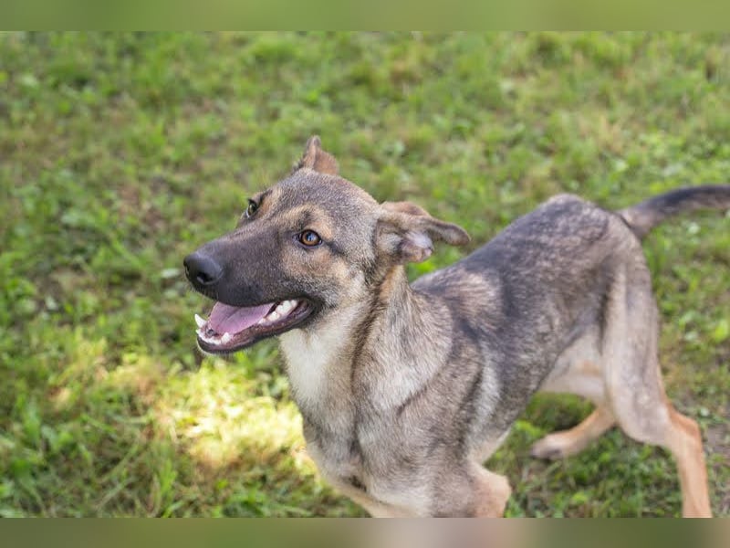 Marlee: Lebensfreude sucht Zuhause