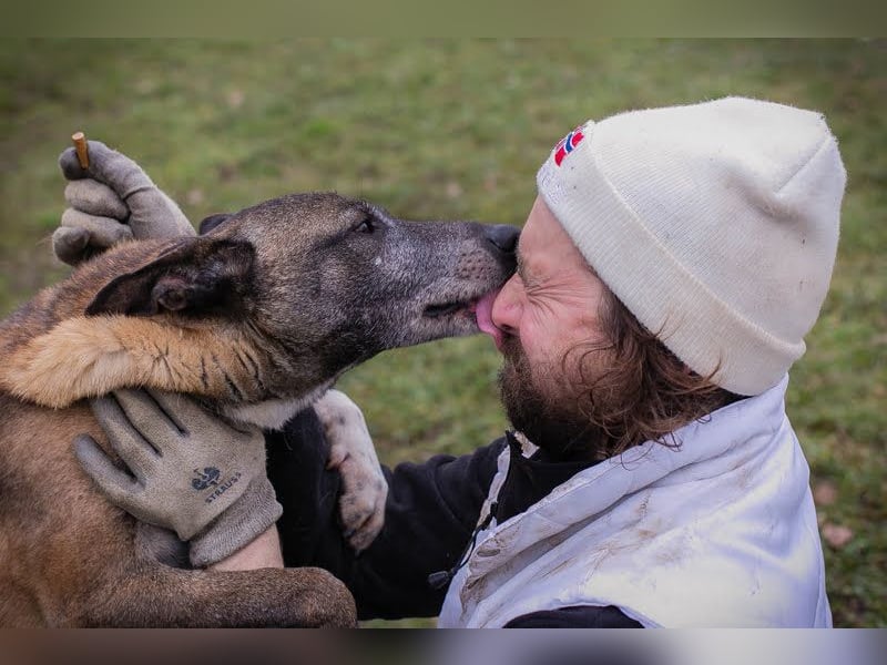 Grisu: Warum sieht ihn niemand?