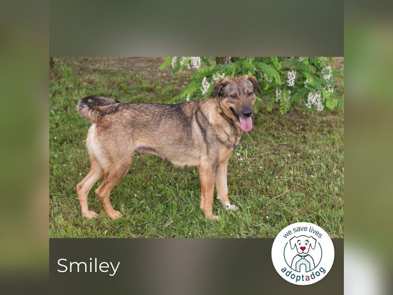 Smiley: Voller Liebe und Hoffnung