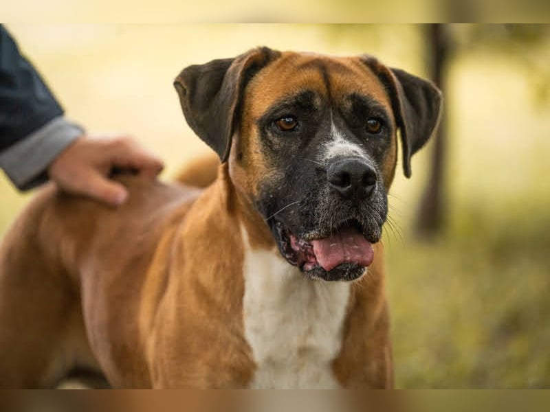 Bonita: Deine neue Wegbegleiterin?