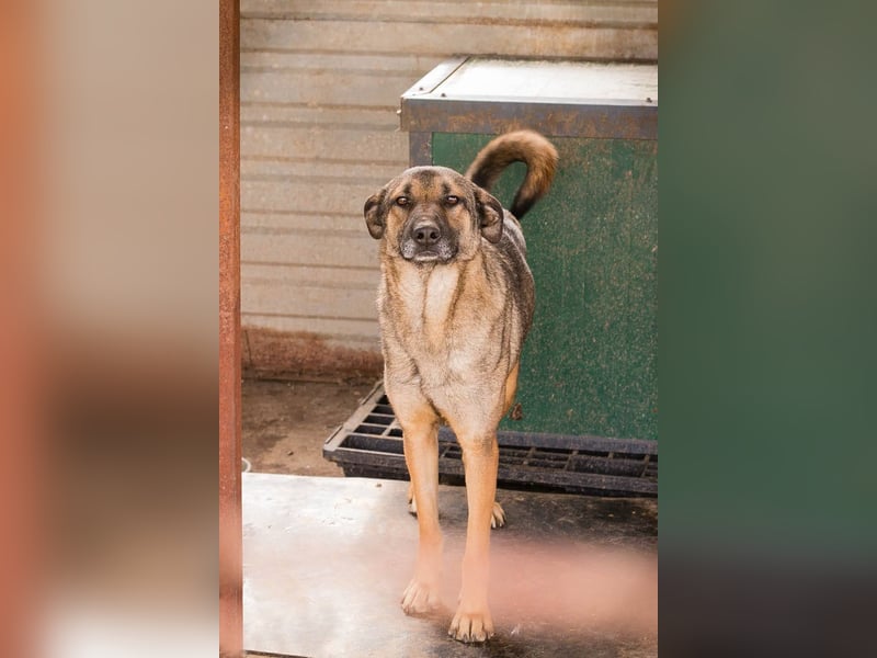 Marlee: Lebensfreude sucht Zuhause