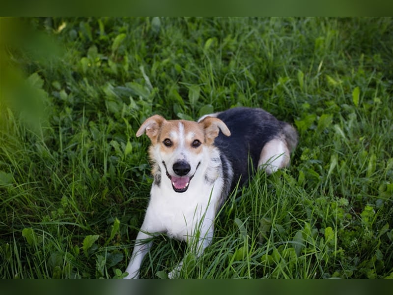 Julie – ein Goldschatz