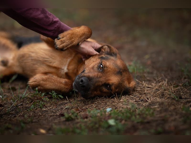 Akascha: Möchte endlich nach Hause!