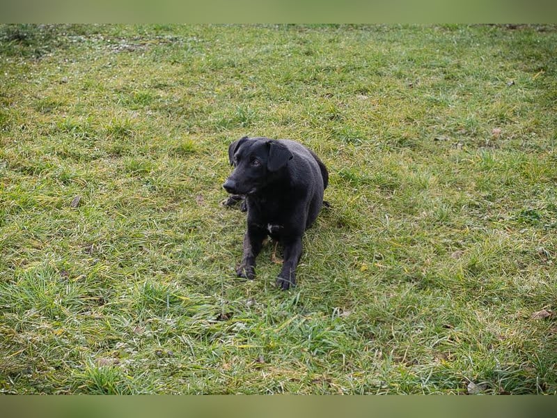 Cassius – Gern im Team unterwegs