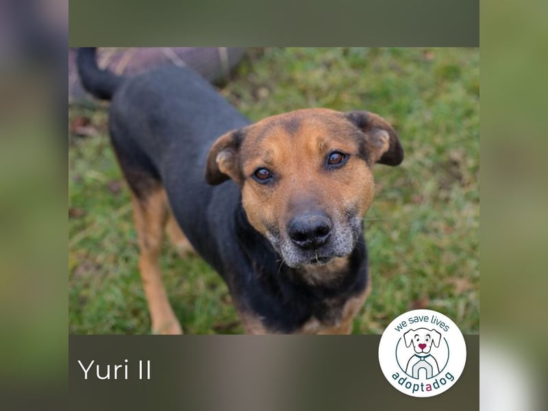 Yuri: Ruhige Seele sucht Liebe