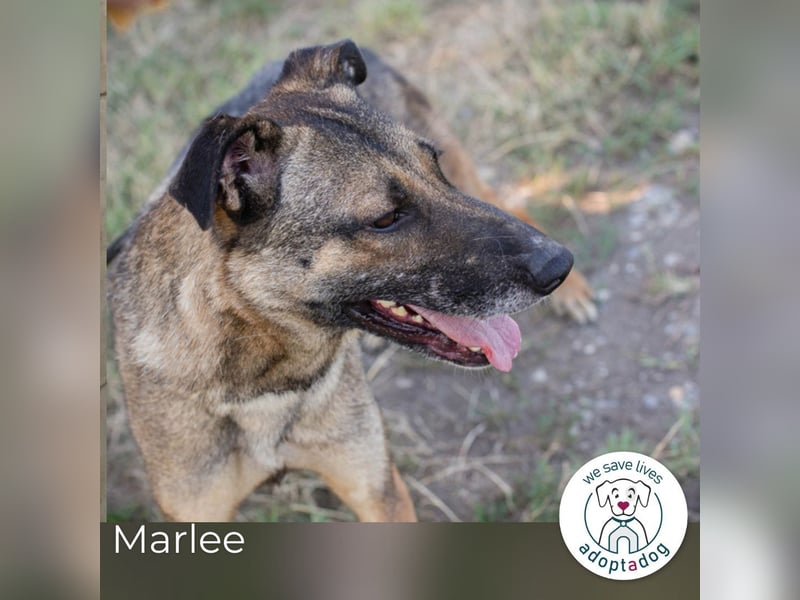 Marlee: Lebensfreude sucht Zuhause