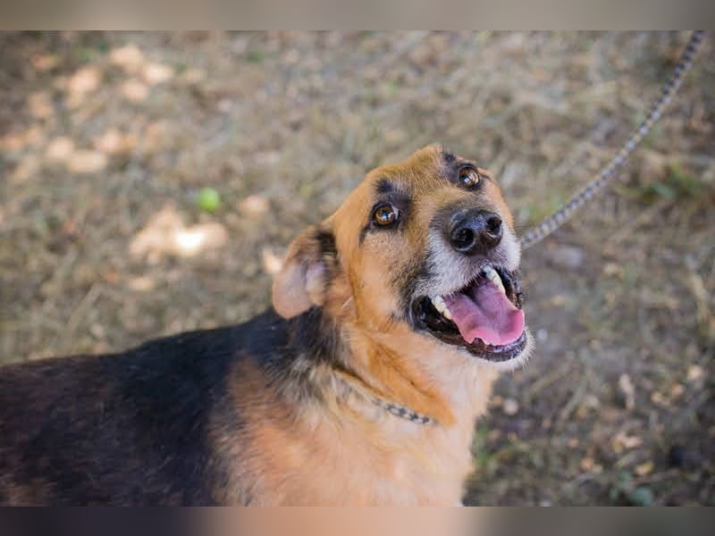 Kastner: Naturfreund mit Köpfchen