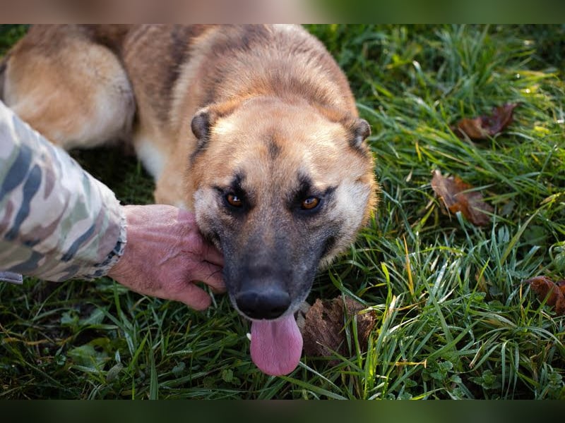 Marty sucht seine Menschen