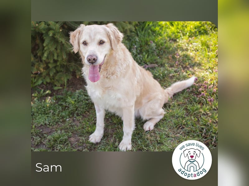 Sam sucht ein Zuhause