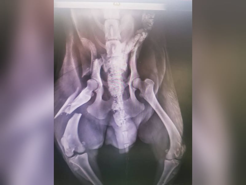 Alex – möchte voll durchstarten