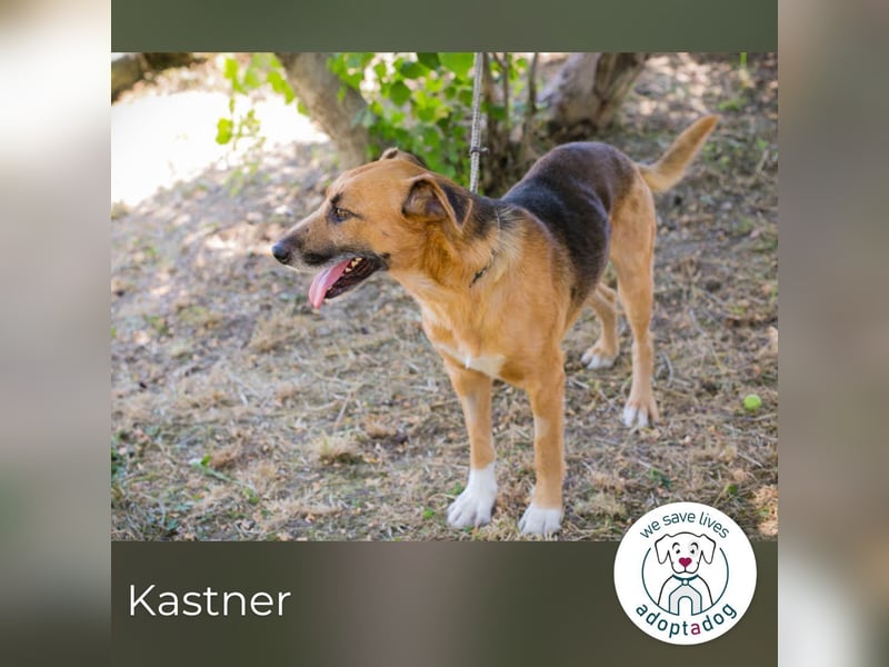 Kastner: Naturfreund mit Köpfchen