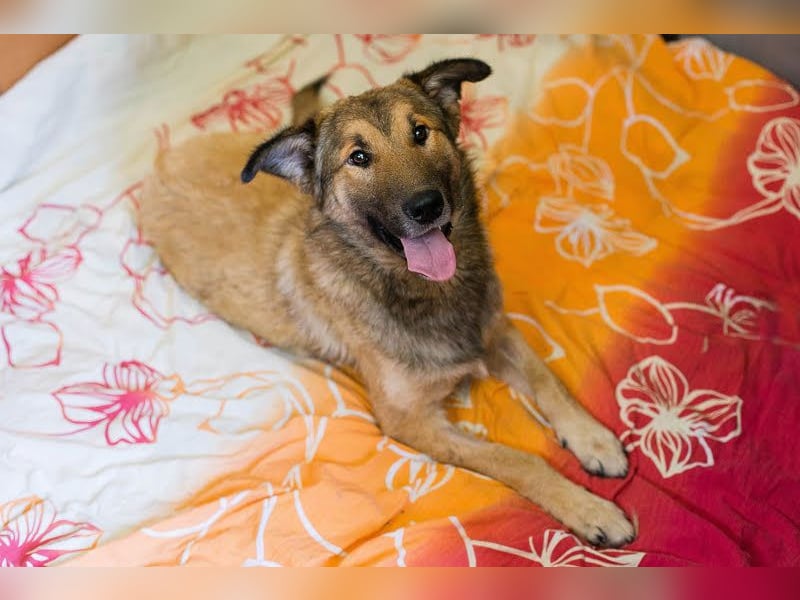 Alex – möchte voll durchstarten