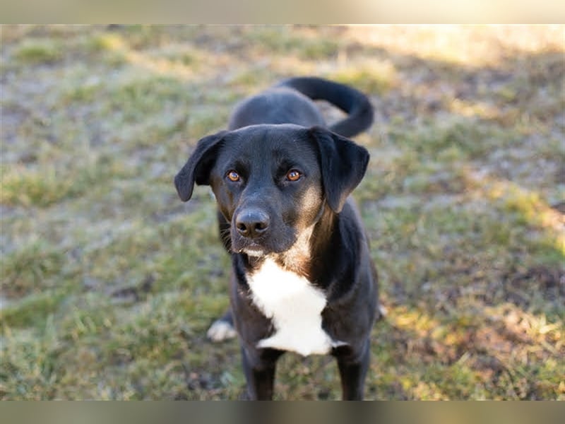 Larry: Sportskanone sucht Gleichgesinnte