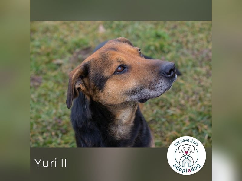 Yuri: Ruhige Seele sucht Liebe