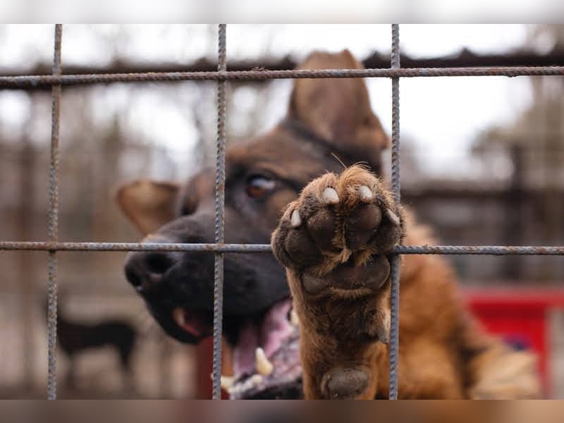 Ich bin Clint: ein Leben in der Warteschleife
