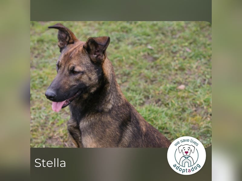 Stella möchte endlich dazugehören