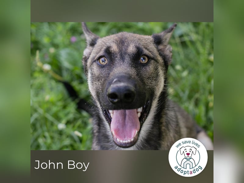 John Boy sucht ein Zuhause