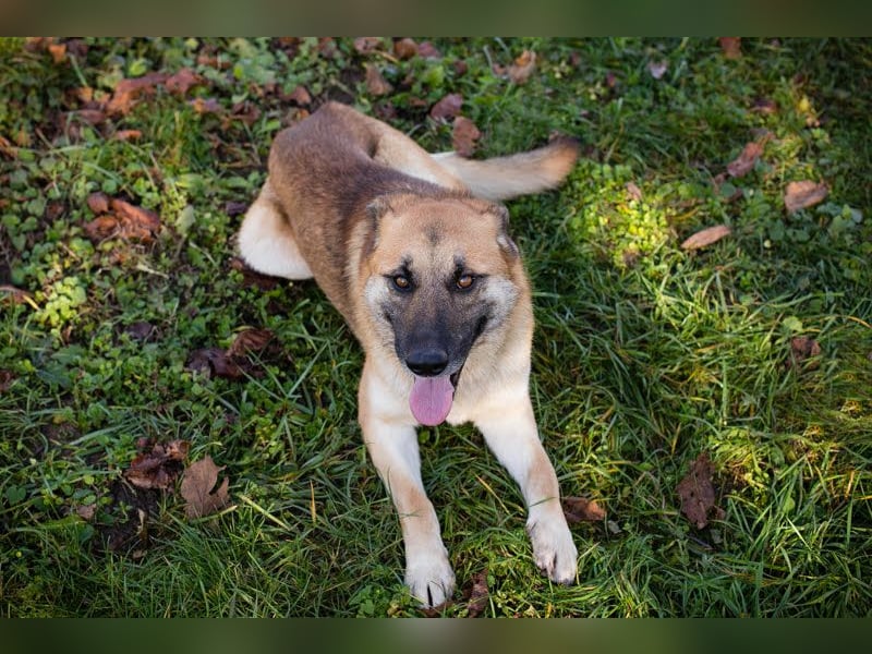 Marty sucht seine Menschen