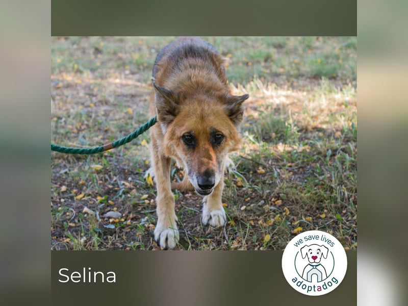 Selina sucht ein Zuhause