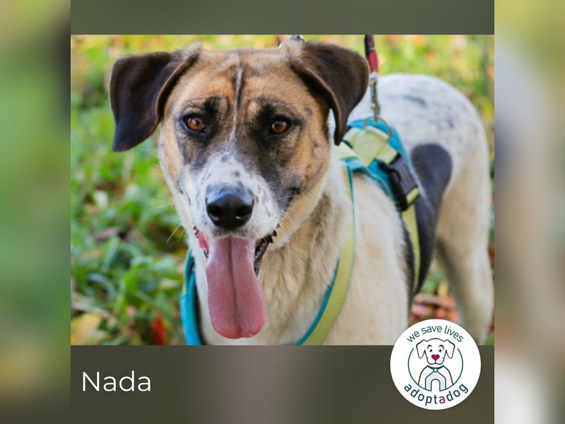 Nada ist voller Hoffnung