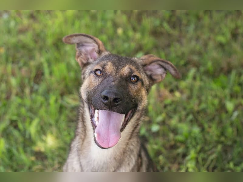 Marlee: Lebensfreude sucht Zuhause