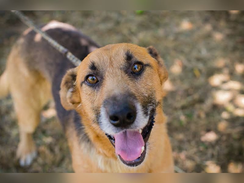 Kastner: Naturfreund mit Köpfchen